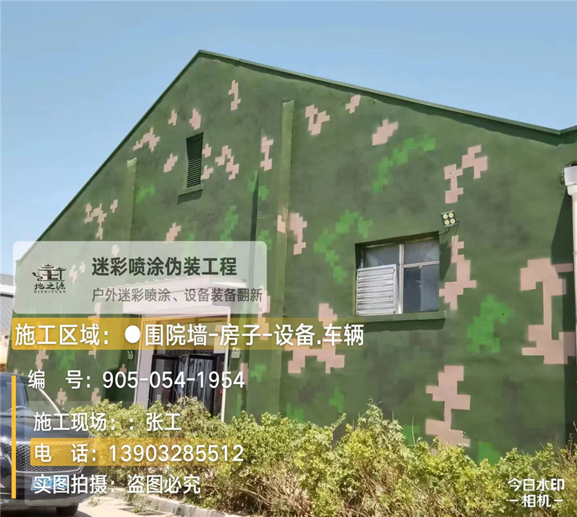 外墙数码迷彩漆施工报价清单（100㎡标准墙面测算）